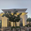 3박4일 진도 여행 (진도쏠비치,OCEAN VIEW 꿈의세계카페,세방낙조,문가든,운림산방,팽목항)