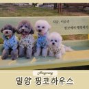 핑코하우스 이미지