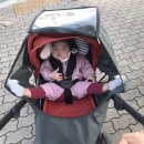 대구 달성군 장난감도서관 후기, 일주일 장난감 대여료가 무려 500원?!!