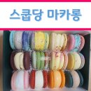 더스쿱 스쿱당 이미지