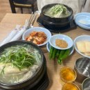 강원정 삼계탕 | 강원정 삼계탕 맛집 후기