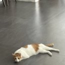 셀프사진관작가시점 | [ 창원셀프사진관 ] _ 작가시점 후기