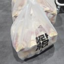 명지배움유도관 이미지