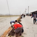 청양 3리 이미지