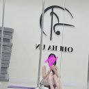 폴린이의 일기 🌟 1회차 일일체험 :: 살면서 처음 해보는 폴 댄스