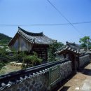 ＜인물한국사＞ 조광조 [趙光祖] // 시대를 앞서간 개혁가 이미지