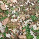 도인농장 이미지