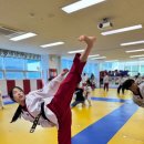 골든킥태권도 이미지