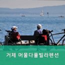 거제 머물다 풀빌라 펜션 이미지