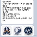 보들즈