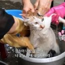 점순이 이미지