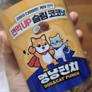 멍냥펀치 이미지