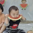 꽃잎반의 수박 이야기🍉 이미지