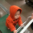 좋아자동차