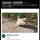 해피 삼월!! 이올시다
