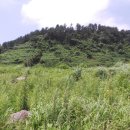 대평감산로 이미지