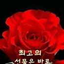 설레는아침