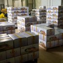 대지농산 이미지