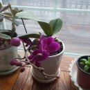 섬진강 레일바이크 이미지