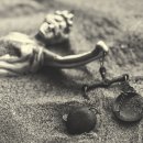 플랫폼디자인 이미지