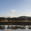 느티나무사우나 이미지