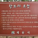 콩밭가인 이미지