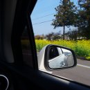 씨엘드 제주 이미지