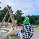 다다목장 이미지