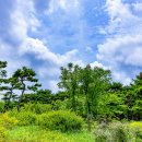 부천중앙공원 이미지