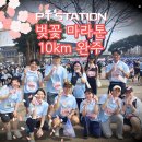 프로젝트 | 피티스테이션🌸벚꽃 마라톤 10km🌸 완주 프로젝트 후기
