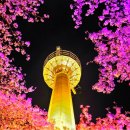 제로렌트카 이미지