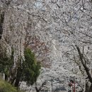 무등파크 골프연습장 이미지