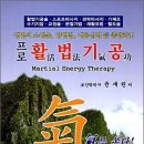 정력을 강화하는 기공기법 14가지 테크닉 이미지