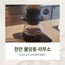 천안 불당동 리무소커피 진심이 담긴 필터 커피 맛집