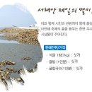 축제(동양화) 이미지