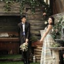 스파지오 이미지