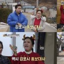 금송아지