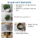 다육이농원