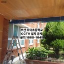 모덕초등학교 티스토리