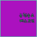 자바라무인텔 | 옥천 숙소 추천 대청호텔부터 카페밀펜션까지 직접 다녀온 5곳 후기 사진 비교