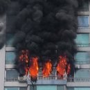 [단독]“전동스쿠터 배터리 충전중 폭발”… 마포 아파트 화재, 母子 숨져 이미지