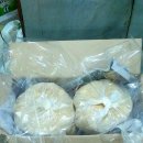 죽전로-2 이미지