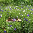 사림동280 이미지