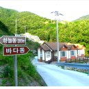 강릉임해자연휴양림 이미지