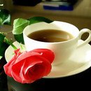 성빈센트 드뽈수녀회 이미지