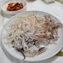와따 좌대낚시터 이미지