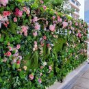 중계온마을센터 | <조화조경업체/플랜테리어업체> 중계온마을센터 플라워월