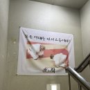 서울Y유도 체육관 | 도봉구 체육관 창동락유도관에서 여자가 유도 배워본 후기