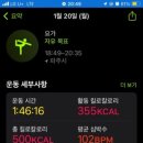 베이징코야주 이미지