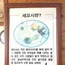 병점역 진안동 횟집 화성시밥집 추천 해남땅끝세꼬시전문점 방문 후기